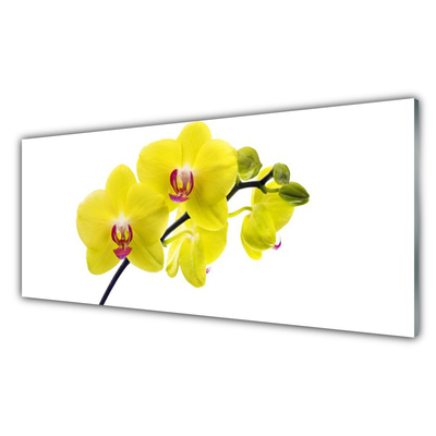 Glass Wall Art Flowers floral green