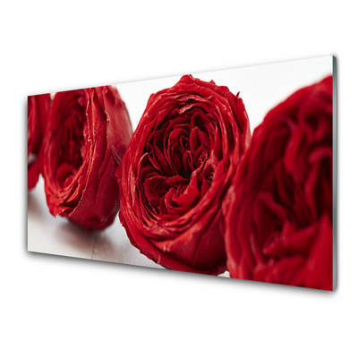 Glass Wall Art Roses floral red