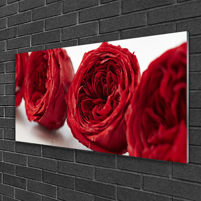 Glass Wall Art Roses floral red