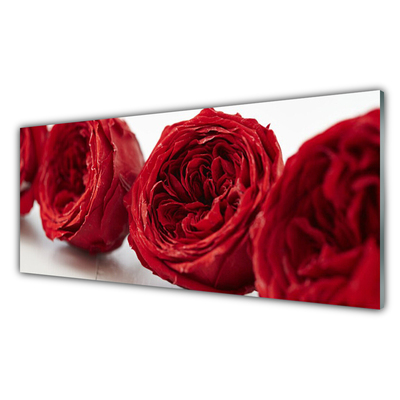 Glass Wall Art Roses floral red