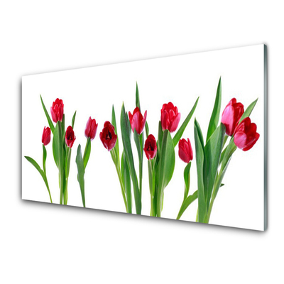 Glass Wall Art Tulips floral red