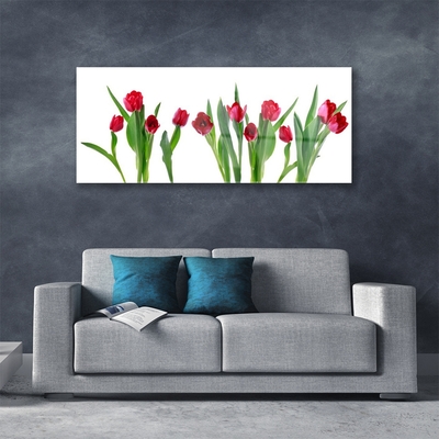 Glass Wall Art Tulips floral red