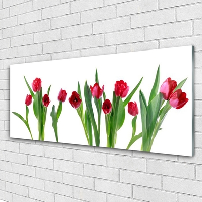 Glass Wall Art Tulips floral red