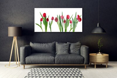 Glass Wall Art Tulips floral red