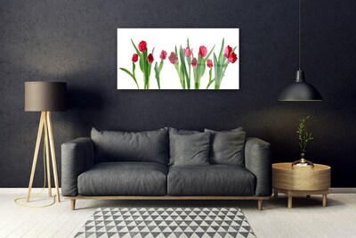 Glass Wall Art Tulips floral red