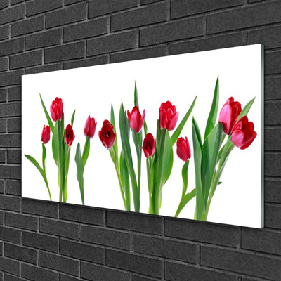 Glass Wall Art Tulips floral red