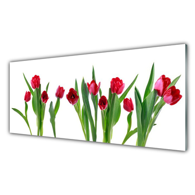 Glass Wall Art Tulips floral red