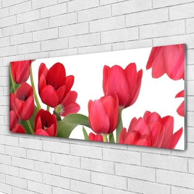 Glass Wall Art Tulips floral red