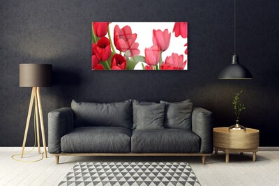 Glass Wall Art Tulips floral red