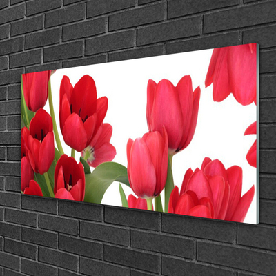 Glass Wall Art Tulips floral red