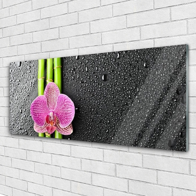 Glass Wall Art Bamboo tube flower floral green pink