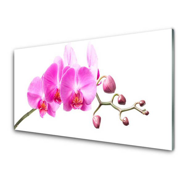 Glass Wall Art Flowers floral pink