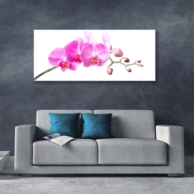 Glass Wall Art Flowers floral pink