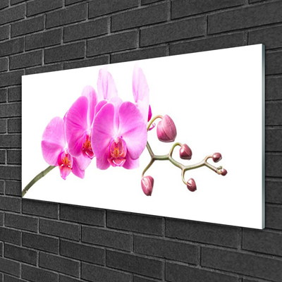 Glass Wall Art Flowers floral pink