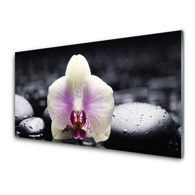 Glass Wall Art Flower stones floral pink white black