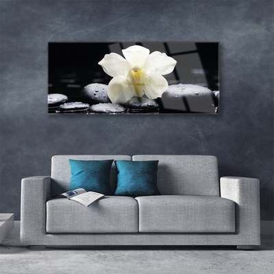 Glass Wall Art Flower stones floral white black