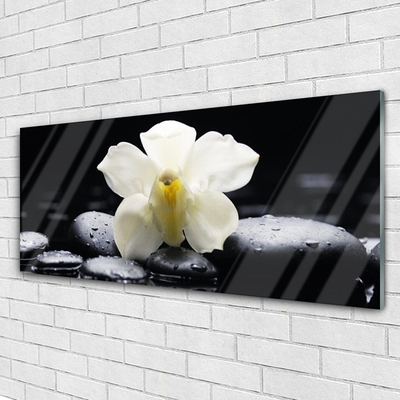 Glass Wall Art Flower stones floral white black