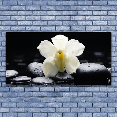 Glass Wall Art Flower stones floral white black