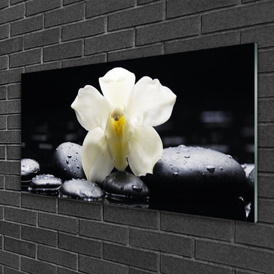 Glass Wall Art Flower stones floral white black