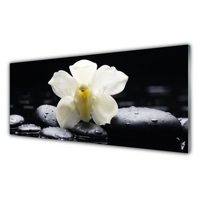 Glass Wall Art Flower stones floral white black