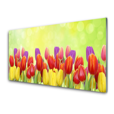 Glass Wall Art Tulips floral yellow red pink