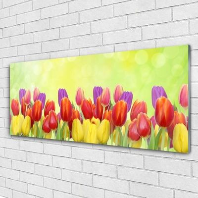 Glass Wall Art Tulips floral yellow red pink