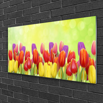 Glass Wall Art Tulips floral yellow red pink