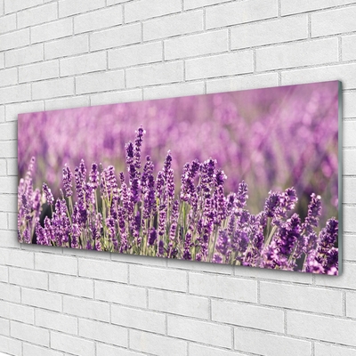 Glass Wall Art Flowers floral pink