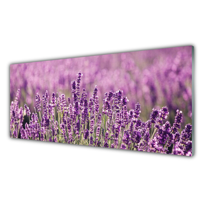 Glass Wall Art Flowers floral pink