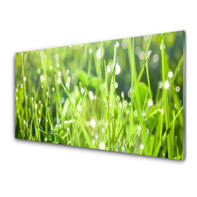 Glass Wall Art Grass nature green