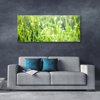 Glass Wall Art Grass nature green