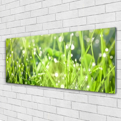 Glass Wall Art Grass nature green