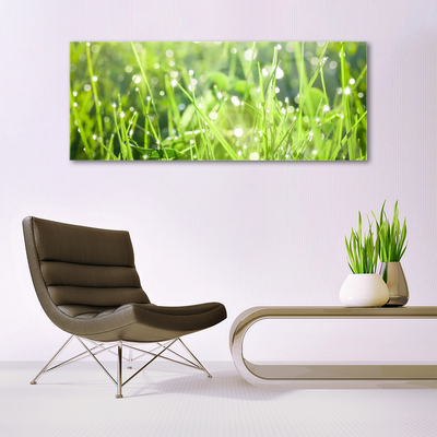 Glass Wall Art Grass nature green