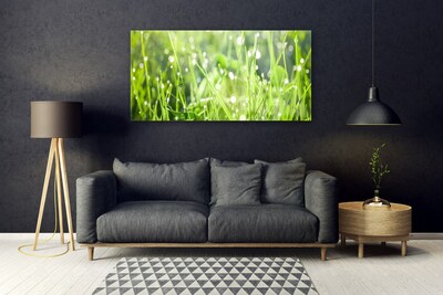 Glass Wall Art Grass nature green