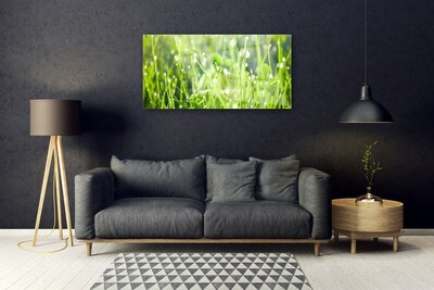 Glass Wall Art Grass nature green