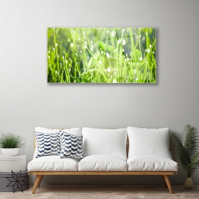 Glass Wall Art Grass nature green