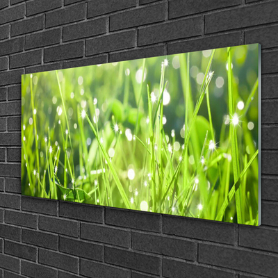 Glass Wall Art Grass nature green