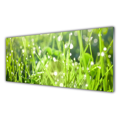 Glass Wall Art Grass nature green