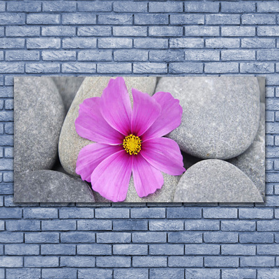 Glass Wall Art Flower stones floral pink grey