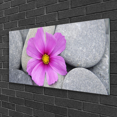 Glass Wall Art Flower stones floral pink grey