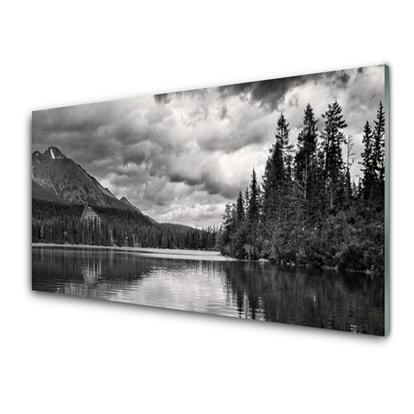 Glass Wall Art Mountain forest lake nature grey