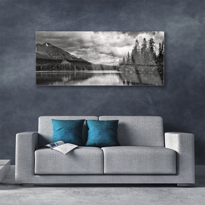 Glass Wall Art Mountain forest lake nature grey