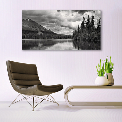 Glass Wall Art Mountain forest lake nature grey