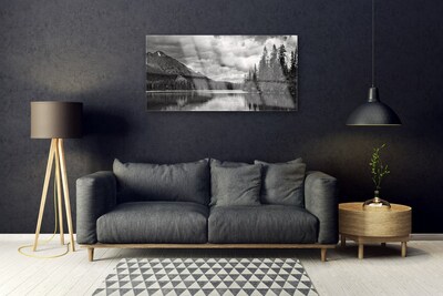 Glass Wall Art Mountain forest lake nature grey