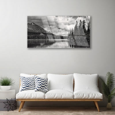 Glass Wall Art Mountain forest lake nature grey