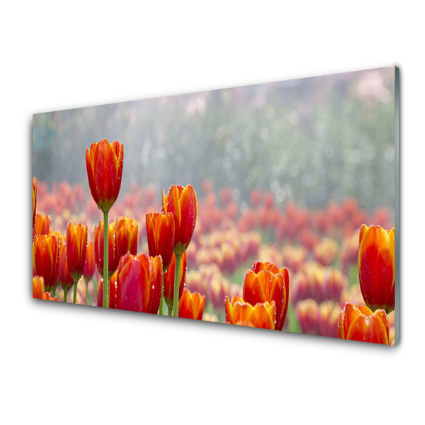 Glass Wall Art Tulips floral red