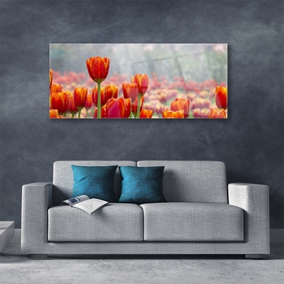 Glass Wall Art Tulips floral red