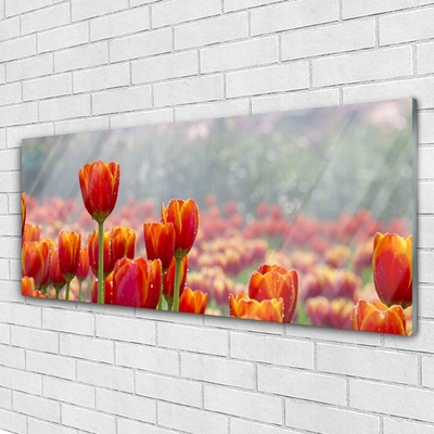 Glass Wall Art Tulips floral red