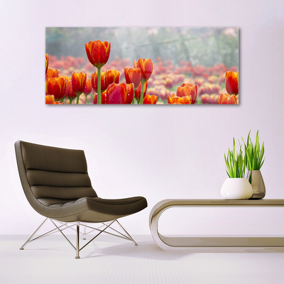 Glass Wall Art Tulips floral red