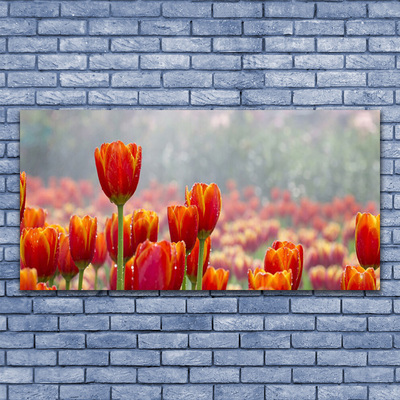 Glass Wall Art Tulips floral red